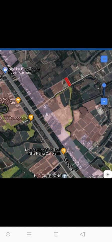 Bán đất Xã Bình Khánh-Cần Giờ -1000m2 cây lâu năm giá 4,5 tỷ