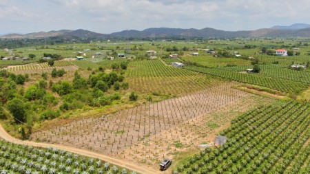 Lô đất vườn vị trí đẹp tại xã Phan Thanh, Bắc Bình, Bình Thuận