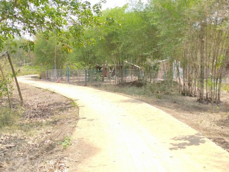 Bán đất Bình Phước giá rẻ chỉ 1000m2/175tr có sổ sẵn