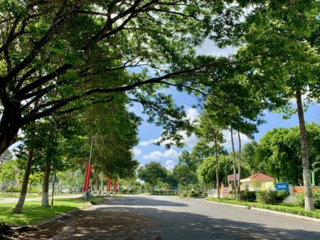 Đi đến slide 6
