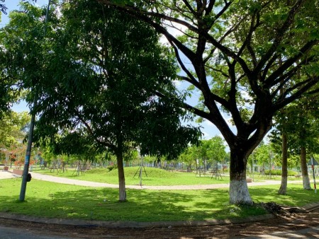 Đi đến slide 14