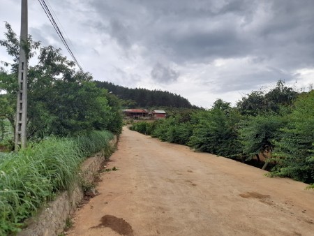 Đi đến slide 5