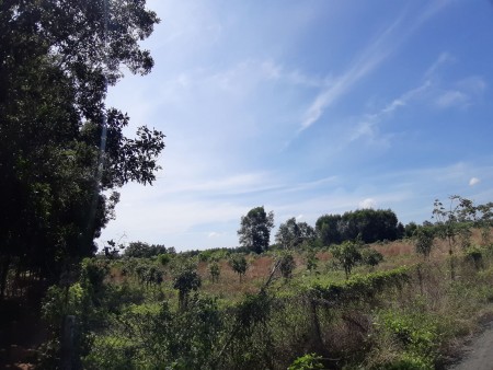 Chính chủ cần bán đất Vũng Tàu, 35000m2, lô góc, 2 mặt thoáng kinh doanh, giá chỉ 5 tỷ