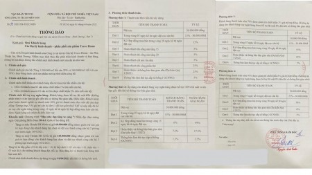 Đi đến slide 12