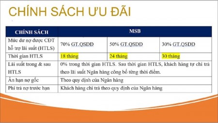Dự án TNR STARS ĐAK ĐOA - GIA LAI