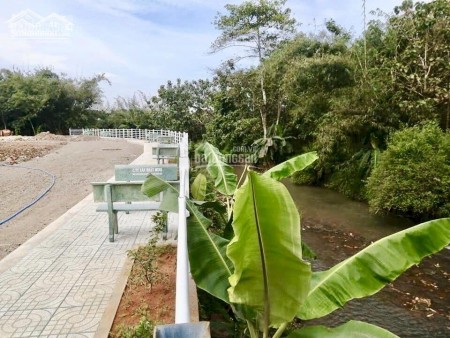 Bán đất chính chủ ,thổ cư Hưng Lộc , Dầu Giay
