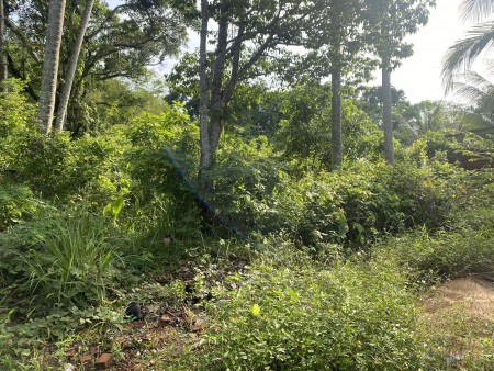 Đi đến slide 8