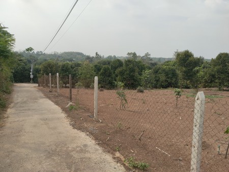 Còn duy nhất 3 lô đất liền kề giá đầu tư F0 tại ấp 5, xã Minh Lập, huyện Chơn Thành, tỉnh Bình Phước. Chỉ 468tr/ 1100m2, SHR