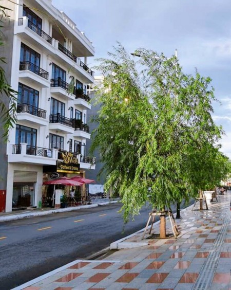Đi đến slide 2