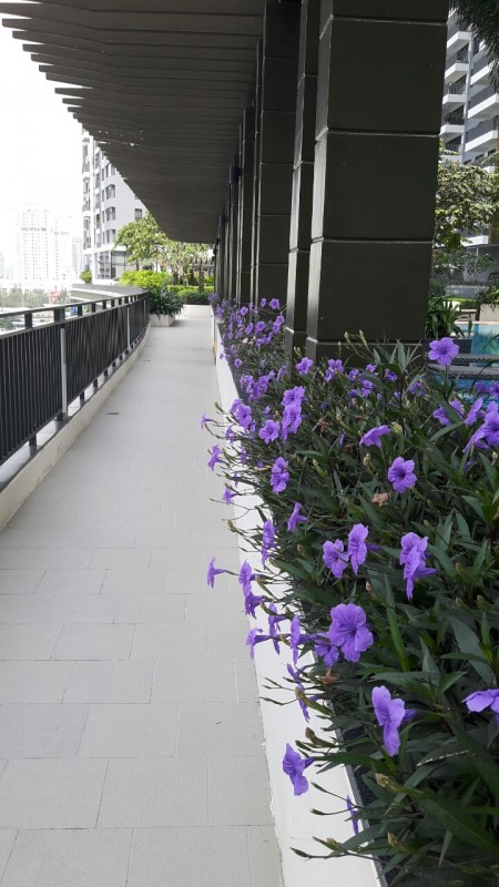 Đi đến slide 4