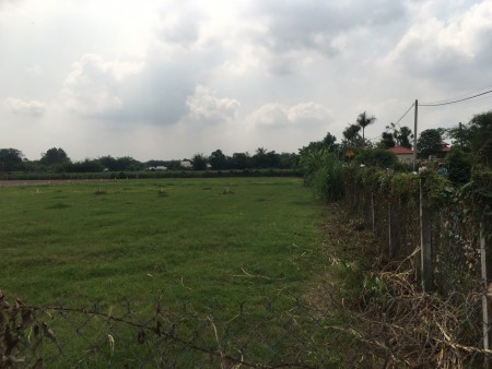 Tôi cần bán lô đất ở Thái Mỹ giá rẻ