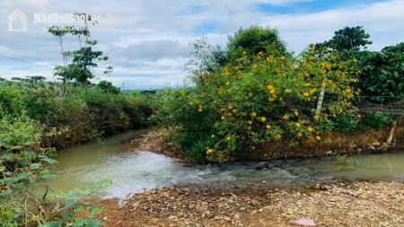 Đất Vườn Nghỉ Dưỡng Bình Long Bình Phước View Sông