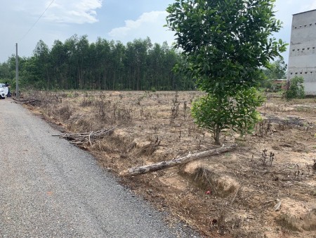 Lô đất bàn cờ Tân Hiệp - Long Thành ngang 22m giá chỉ 3 tỷ