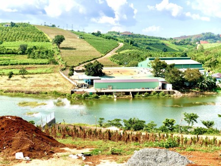 Đi đến slide 8