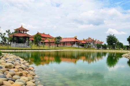 Đi đến slide 8