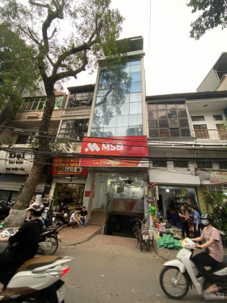 Mặt Phố Hoàng Hoa Thám 6 Tầng Thang Máy Mới Đẹp KD Đa Loại Hình, 100M, Mt 4.5, Giá 18.5 Tỷ