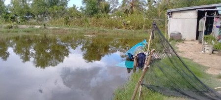 Đi đến slide 6