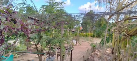 Đất vụ lúa vụ tôm lộ 1,5 m, thuận lợi để ở, trồng cây, trồng lúa, nuôi tôm