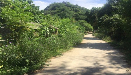 Đi đến slide 5