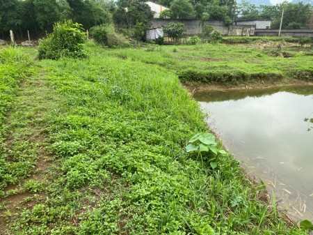 Đi đến slide 8