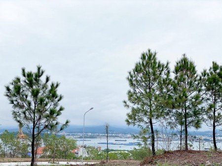 Đi đến slide 3