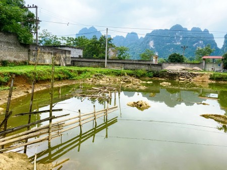 Đi đến slide 9