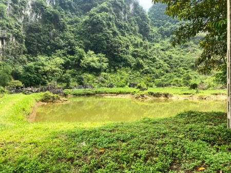 Đi đến slide 2