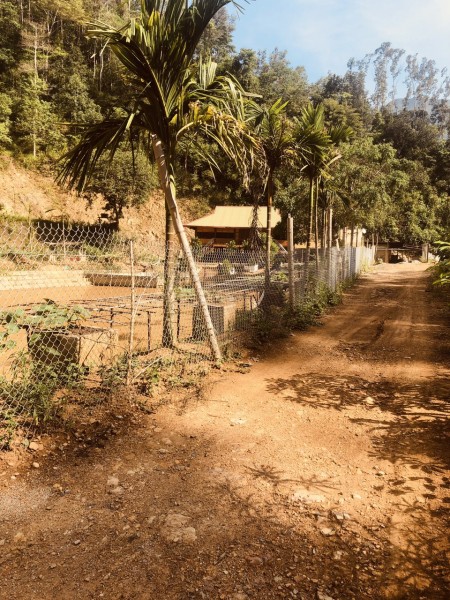 Bán đất tại địa chỉ khối Đồng Tâm, thị trấn Tuần Giáo, Điện Biên