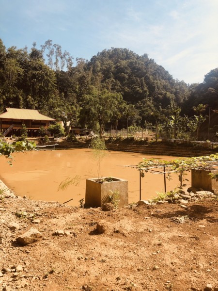 Đi đến slide 2