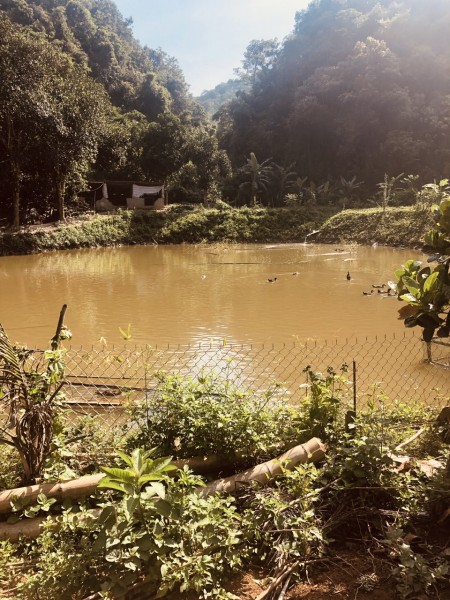 Đi đến slide 4
