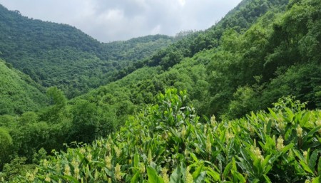 Đi đến slide 1