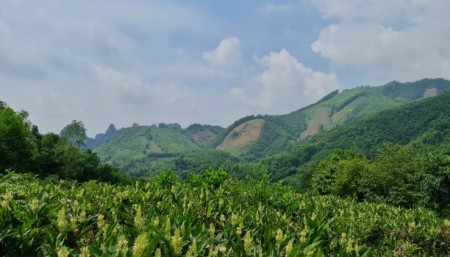 Đi đến slide 3