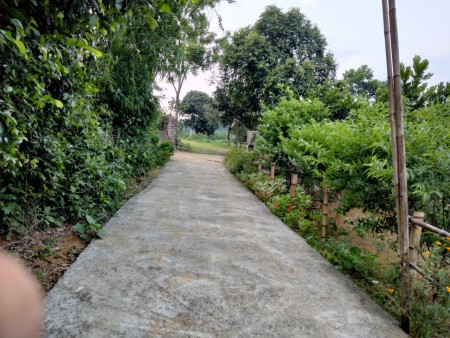 Đi đến slide 5