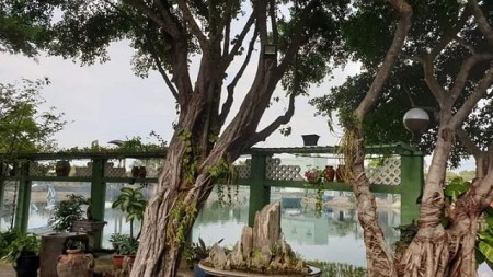 Đi đến slide 7