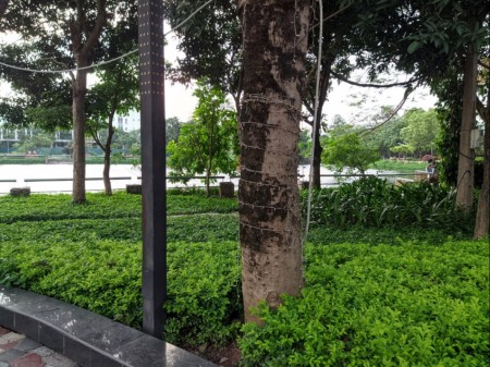 Đi đến slide 2
