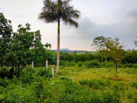 Duy nhất còn lô đất nhỏ xinh 721m2, tại Cư Yên, Lương Sơn, Hoà Bình