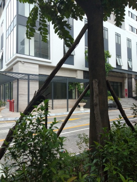 Đi đến slide 4