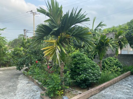 Đi đến slide 6