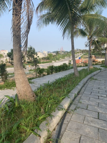 Chính chủ cần bán 119m đất đồi Ban Mai giá rẻ nhất