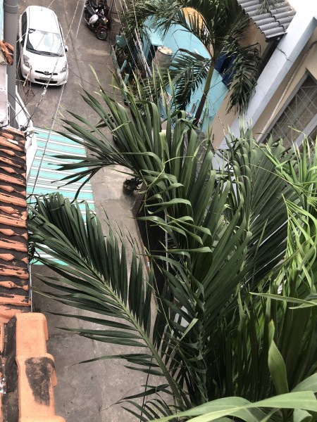 Đi đến slide 2