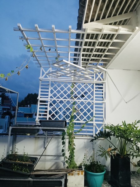 Bán Gấp Nhà Đường 3 Tháng 2 Quận 10 SD 384m2 HXH chỉ 169tr/m2