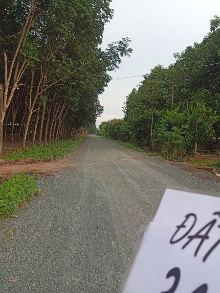 Đất nền dự án mới (5x41) ấp 3 xã Chà Hoà, Quang Minh, Chơn Thành, Bình Phước