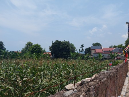 Bán 522m/300m đất ở lâu dài tại thô Đông Nam, Nam Phương Tiến, view Hồ Văn Sơn thoáng, cách Hồ Văn Sơn 100m