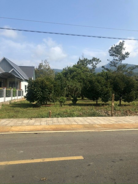 Chồng chạy tiền bán gấp đất trung tâm giá rẻ TP Bảo Lộc, giá thoả thuận