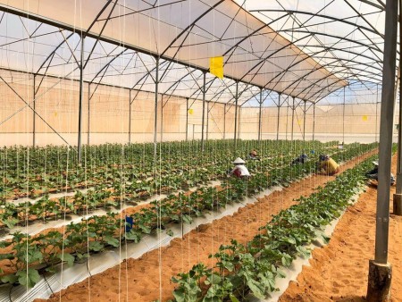 Chủ gửi bán gấp 1.2 ha đất nông nghiệp sát mặt tiền ĐT 716, 7p tới biển Hòa Thắng