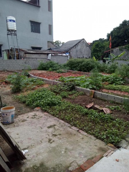 Bán lô đất giá rẻ công nhân tại Yên Mỹ Hưng Yên