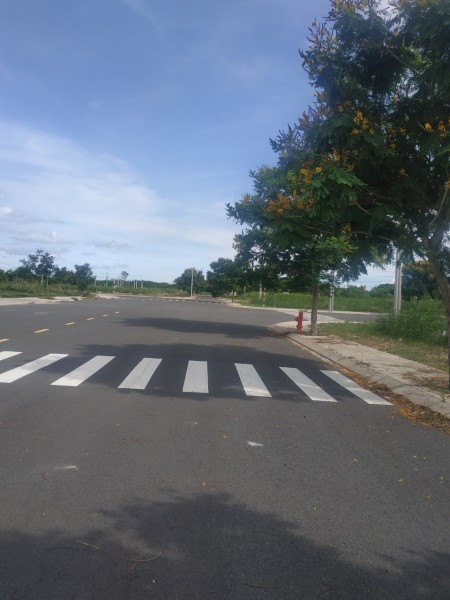 Cơ hội đầu tư South Wave cam kết có lời cho khách hàng