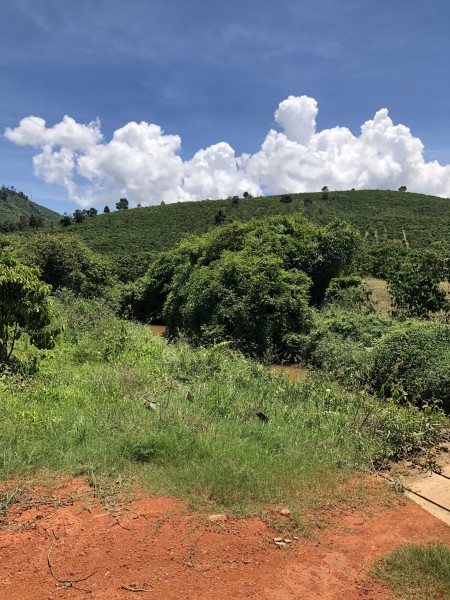 Đi đến slide 5