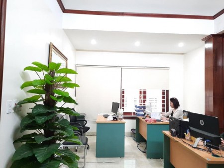 Bán nhà phân lô, ô tô 91 Nguyễn Chí Thanh 86m2, 5 tầng, MT 6m, giá 26 tỷ 800 triệu