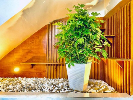 Bán đất Sài Gòn rộng giá dưới tỉnh giá 22 triệu/m2, lh 0988118978